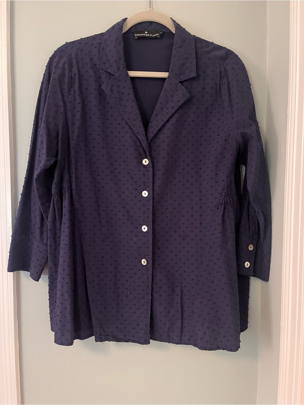 Tuckernuck Navy Swiss Dot Button-Down Blouse